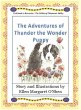 The Adventures of Thunder The Wonder... - Bild 1