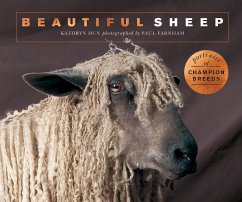 Beautiful Sheep - Dun, Kathryn