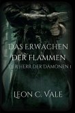 Das Erwachen der Flammen (eBook, ePUB)