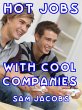 Hot Jobs with Cool Companies (eBook,... - Bild 1