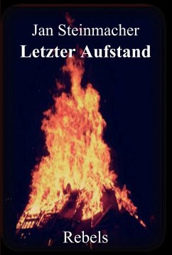 Rebels - Letzter Aufstand (eBook, ePUB) - Steinmacher, Jan