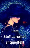 Vom Stallburschen entjungfert (eBook, ePUB)