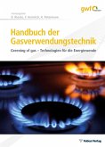 Handbuch der Gasverwendungstechnik (eBook, PDF)