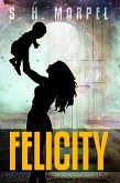 Felicity (Ghost Hunters Mystery Parables) (eBook, ePUB)
