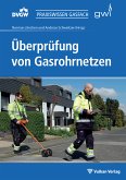 Überprüfung von Gasrohrnetzen (eBook, PDF)