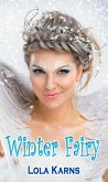 Winter Fairy (eBook, ePUB)