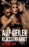 Auf geiler Klassenfahrt (Gangbang, BDSM) (eBook, ePUB) Auf geiler Klassenfahrt (Gangbang, BDSM) (eBook, ePUB)