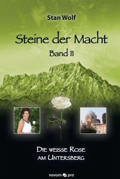 Steine der Macht - Band 11 (eBook, ePUB) - Wolf, Stan