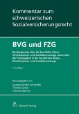 BVG und FZG (eBook, PDF)
