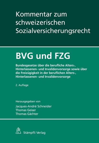 BVG und FZG (eBook, PDF)