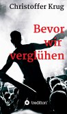 Bevor wir verglühen (eBook, ePUB)