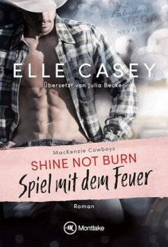 shine not burn by elle casey