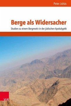 Berge als Widersacher - Juhás, Peter