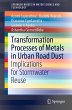 Transformation Processes of Metals in... - Bild 1