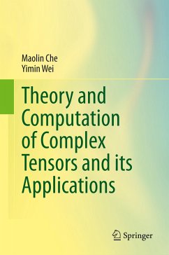 Theory and Computation of Complex Tensors and its Applications - Che, Maolin;Wei, Yimin