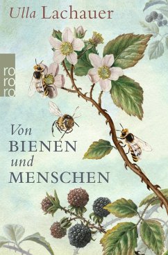 Von Bienen und Menschen - Lachauer, Ulla
