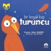 Bir Boyali Kus Turuncu