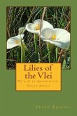 Lilies of the Vlei: My Life in Amanzimtoti, South Africa