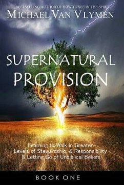 Supernatural Provision: Learning to Walk in Greater Levels of Stewardship and Responsibilty and Letting Go of Unbiblical Beliefs - Vlymen, Michael Van