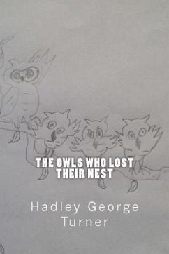 The Owls Who Lost Their Nest - Turner, Hadley George