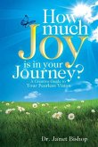 How Much Joy Is In Your Journey?: A Creative Guide to Your Fearless Vision