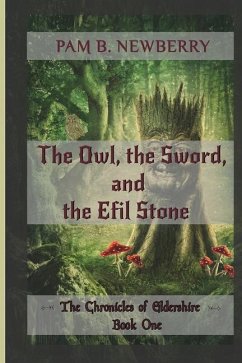The Owl, the Sword, & the Efil Stone: The Chronicles of Eldershire - Book One - Newberry, Pam B.