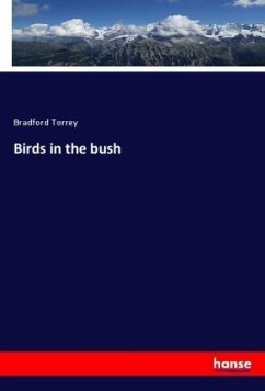 Birds in the bush