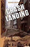 Crash Landing: Survival in a dystopian world