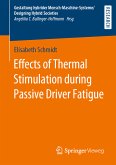 Effects of Thermal Stimulation during Passive Driver Fatigue (eBook, PDF)