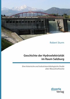 Geschichte der Hydroelektrizität im Raum Salzburg. Eine historische und industriearchäologische Studie alter Wasserkraftwerke (eBook, PDF) - Sturm, Robert