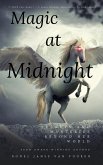 Magic at Midnight (eBook, ePUB)