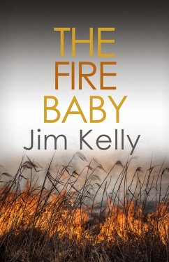 The Fire Baby (eBook, ePUB) - Kelly, Jim