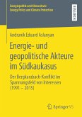 Energie- und geopolitische Akteure im Südkaukasus (eBook, PDF)