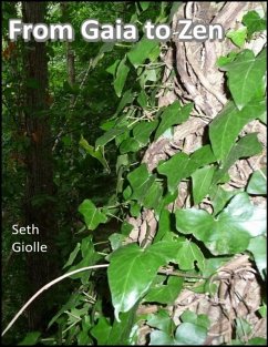 From Gaia to Zen (eBook, ePUB) - Giolle, Seth