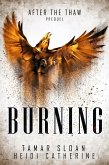 Burning: Prequel, After the Thaw (eBook, ePUB)