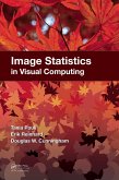 Image Statistics in Visual Computing (eBook, PDF)