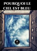 Pourquoi le ciel est bleu - Tome 2 (eBook, ePUB)