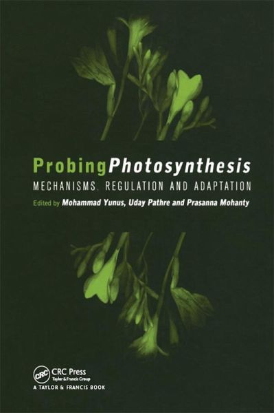 Probing Photosynthesis (eBook, PDF) Probing Photosynthesis (eBook, PDF)