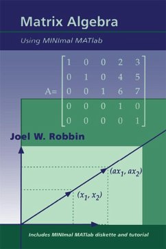 Matrix Algebra Using MINimal MATlab (eBook, PDF) - Robbin, Joel W.