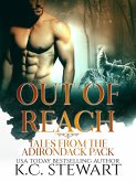 Out of Reach: Tales from the Adirondack Pack (eBook, ePUB)