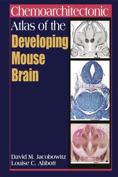 Chemoarchitectonic Atlas of the Developing Mouse Brain (eBook, PDF) - Jacobowitz, David M.; Abbott, Louise C.