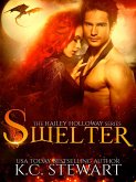 Swelter (Hailey Holloway, #5) (eBook, ePUB)