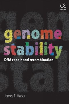 Cover Genome Stability (eBook, PDF)