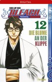 Bleach 12 (eBook, ePUB) Bleach 12 (eBook, ePUB)