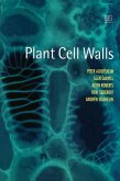 Plant Cell Walls (eBook, PDF)