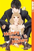 Honey Come Honey 01 (eBook, ePUB)