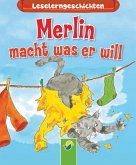 Merlin macht, was er will (eBook, ePUB)