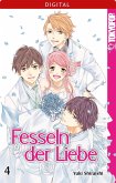 Fesseln der Liebe 04 (eBook, ePUB)