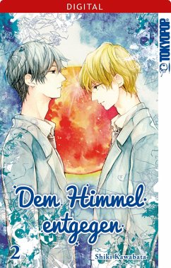Dem Himmel entgegen Bd.2 (eBook, ePUB) - Kawabata, Shiki