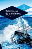 Relámpagos de la memoria (eBook, ePUB)